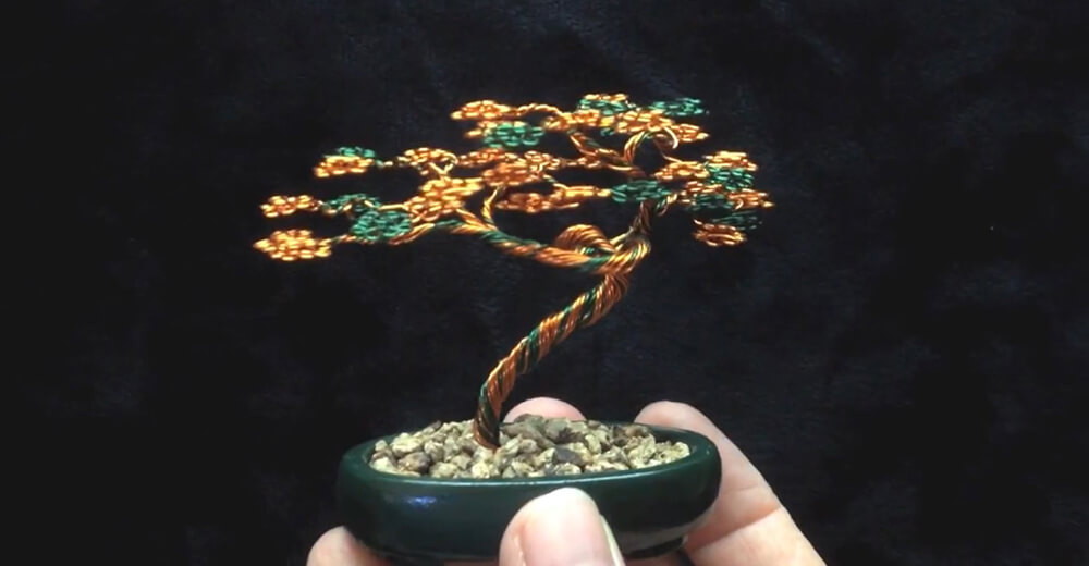 slanting style of bonsai tree